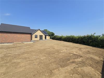 Picture 20